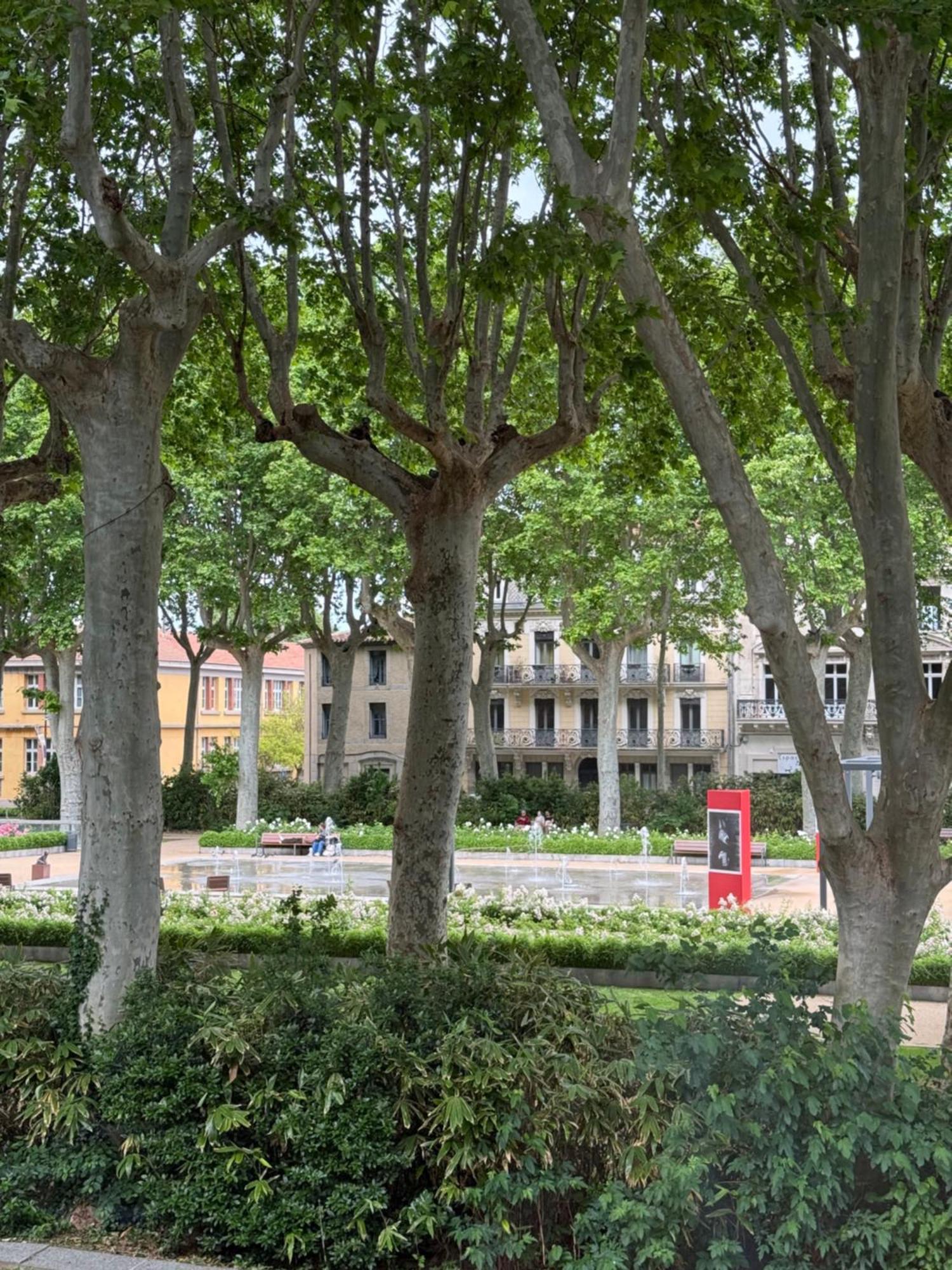 Apartamento Le Carre Gambetta Carcasona Exterior foto